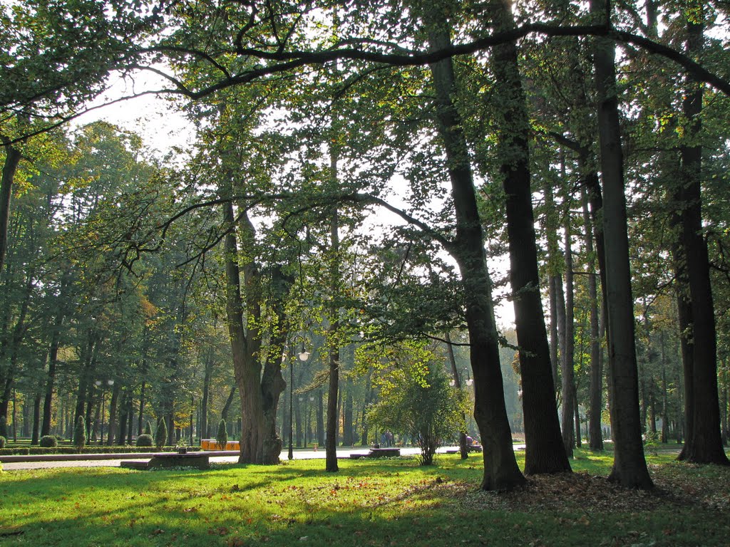 In city park