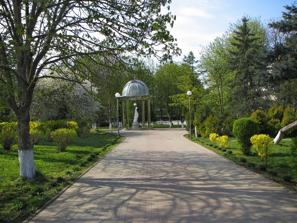 Ivano-Frankivsk streets