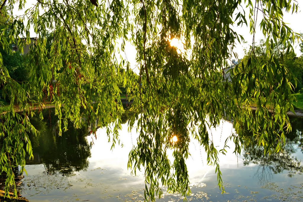 Green curtain