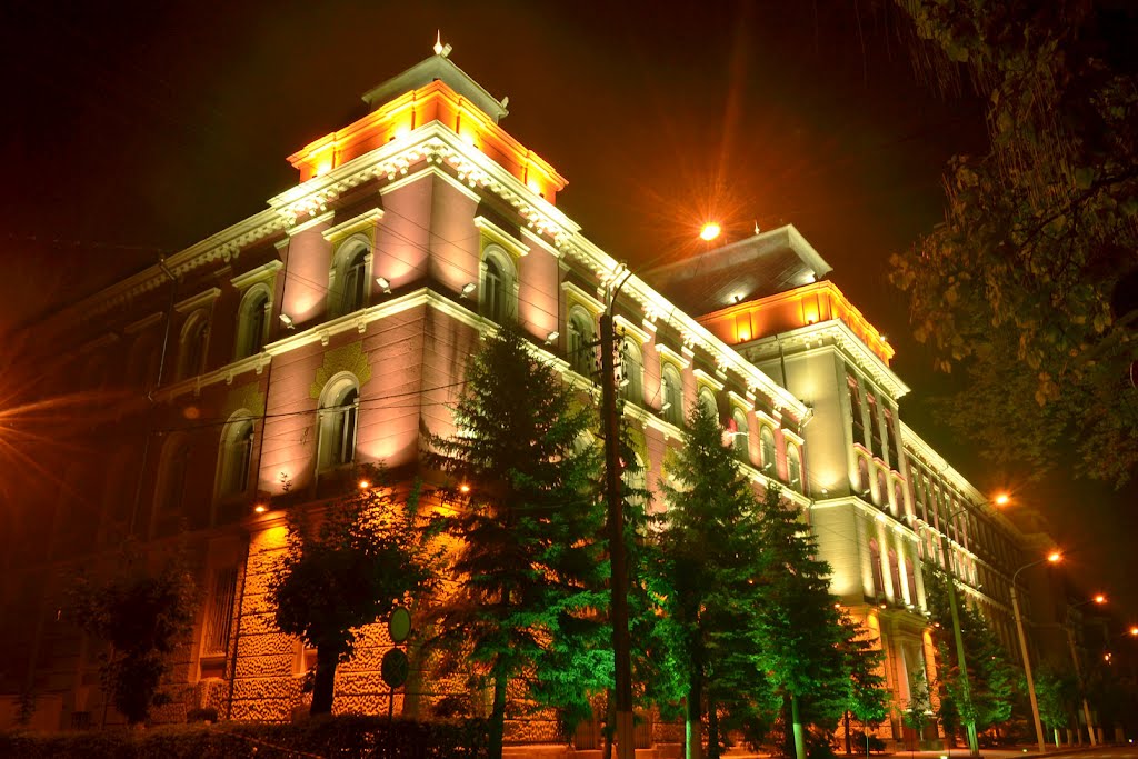Night Lights
