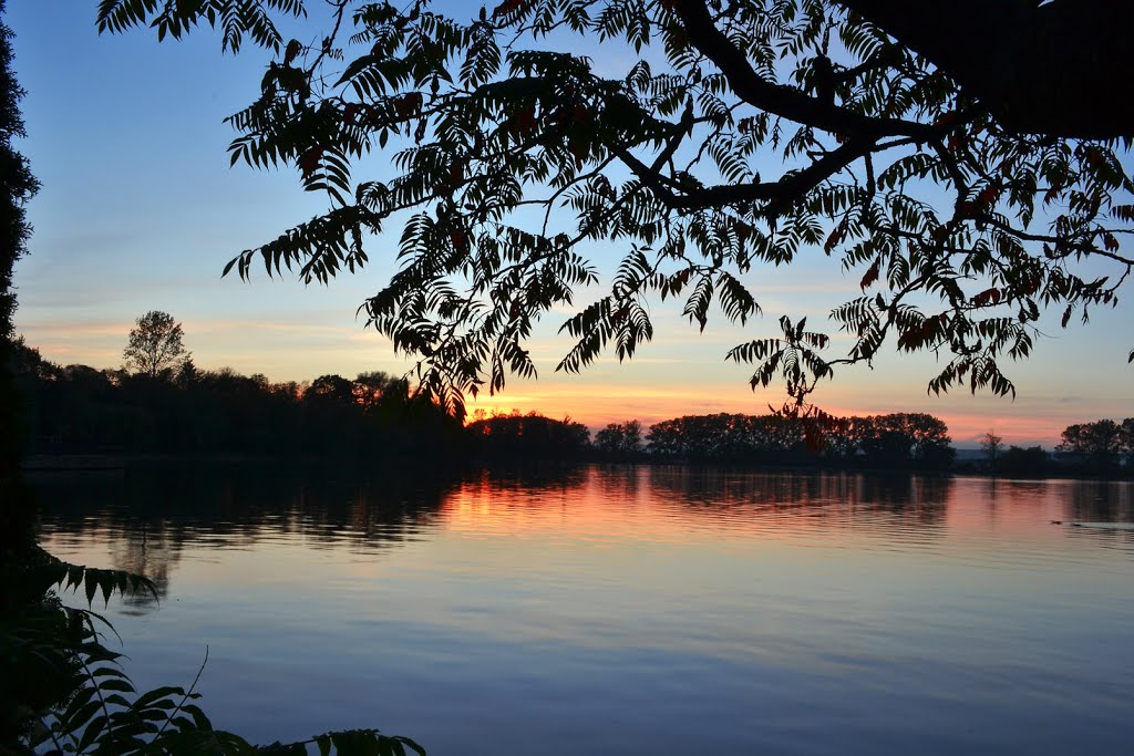 Lace over the lake