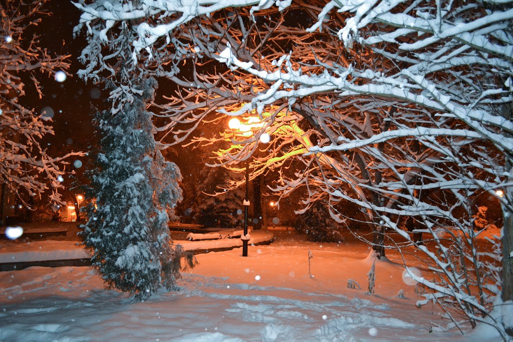 Snow Is Still Falling