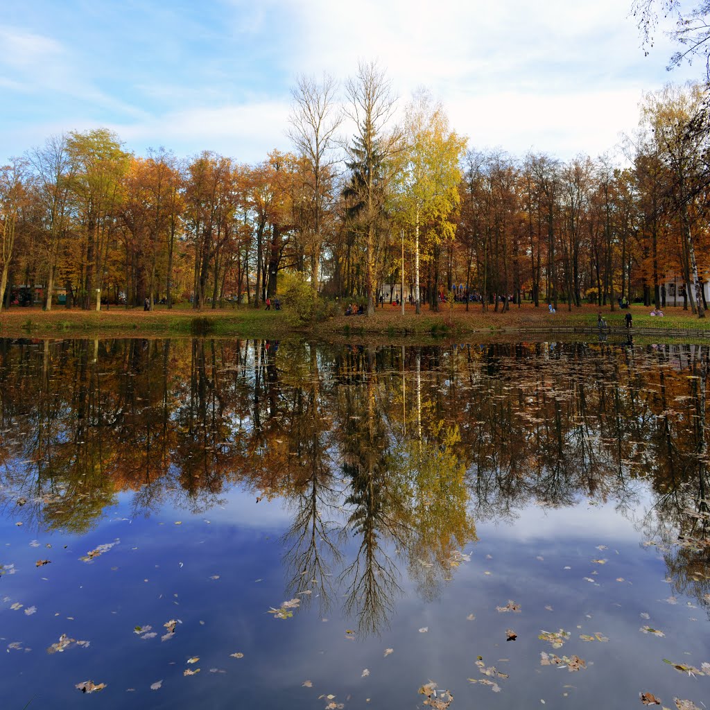 Walk in the park