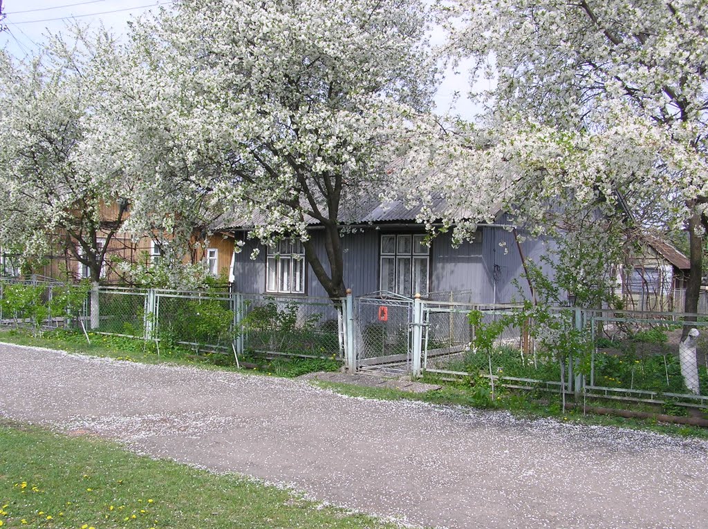 ВУЛ. ЄВШАНА