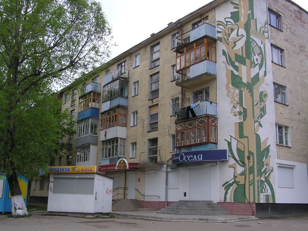 ВУЛ. ХМЕЛЬНИЦЬКОГО, 19
