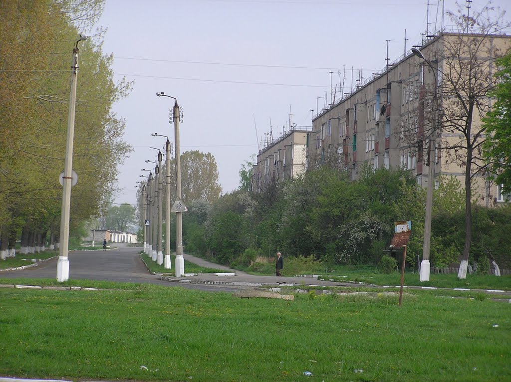 ВУЛ. ЛИТВИНА