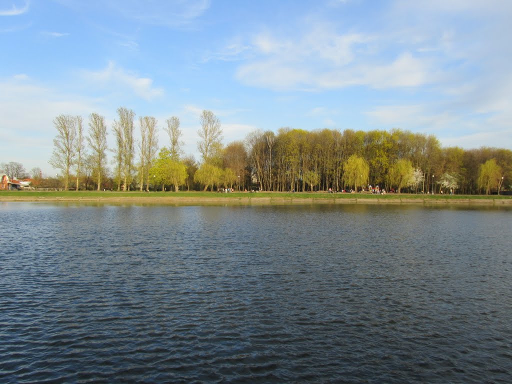 The municipal lakes bank