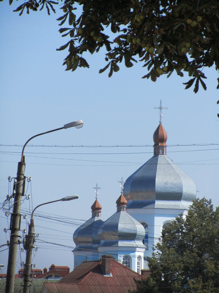 З вулиці гетьмана Івана Мазепи