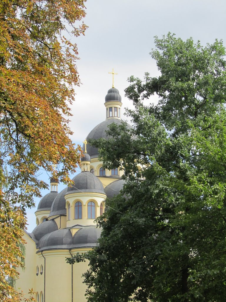 Пожовкле дерево поряд з іще зовсім зеленим