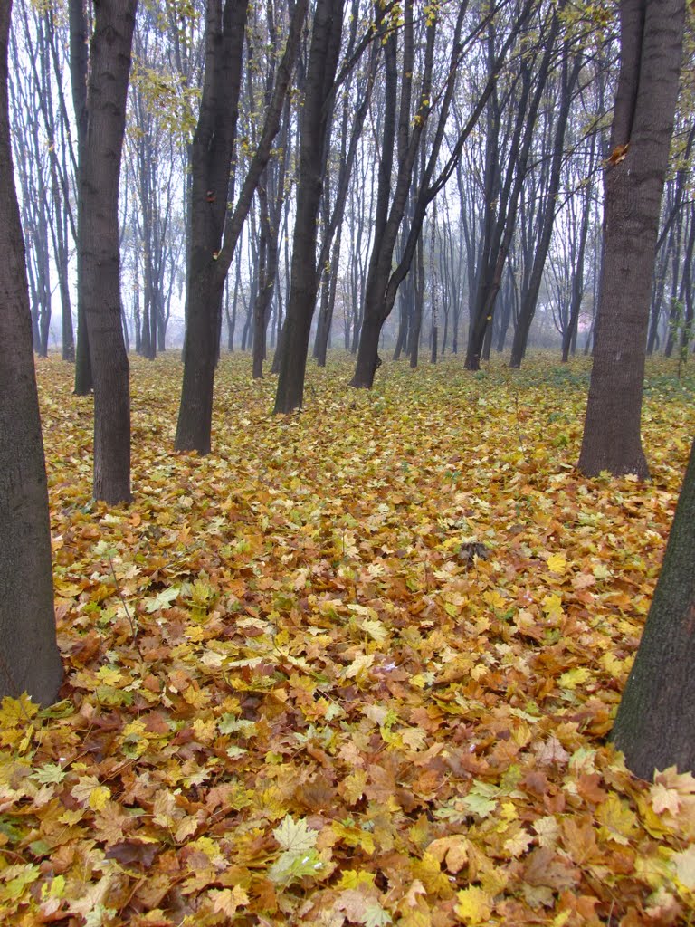 Парк