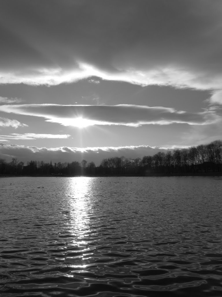 Sunset in black and white