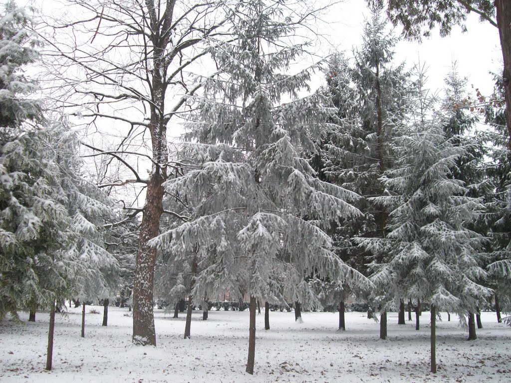 Зимовий парк