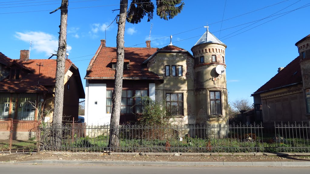 "Villa Wilhelmine"