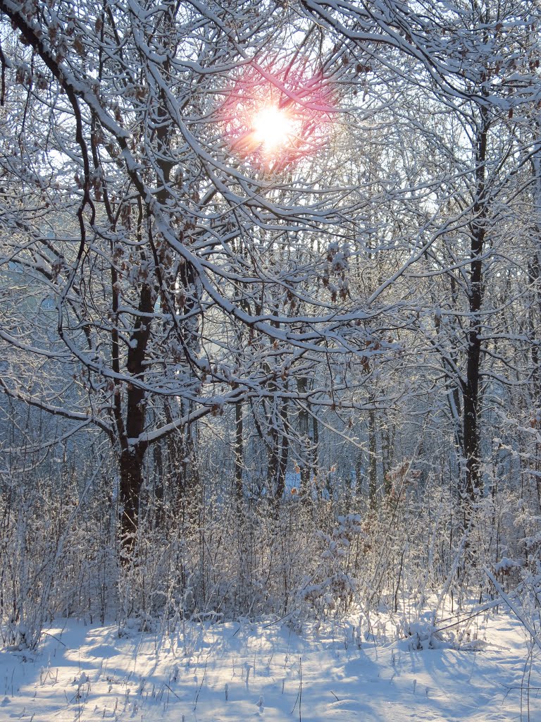 Зимовий ранок/Winter morning