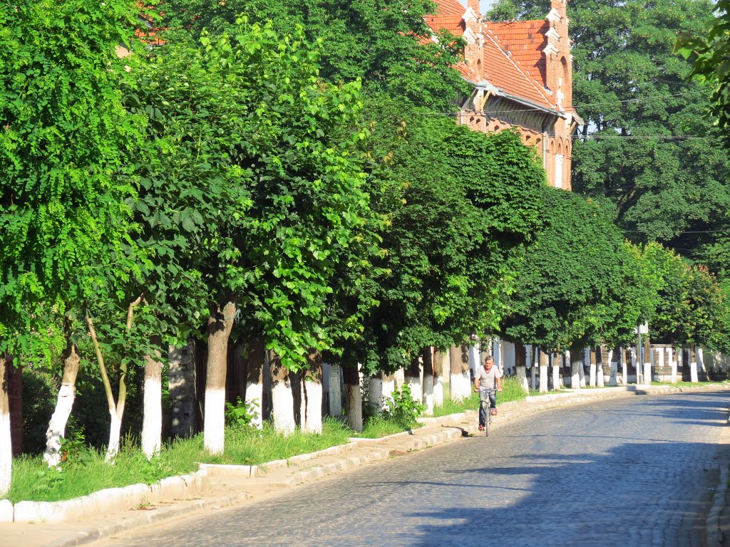 Вулиця Івана Франка