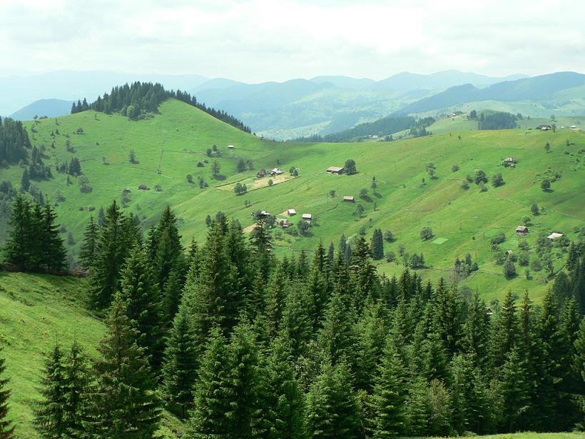 p1090259
