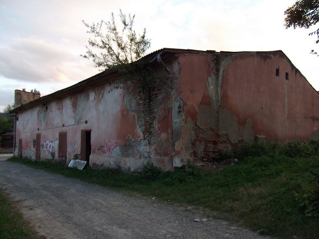 Kosiv, Ukraine, Aug 2010