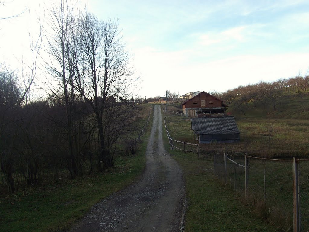 Kosiv, Ukraine, Nov 2010