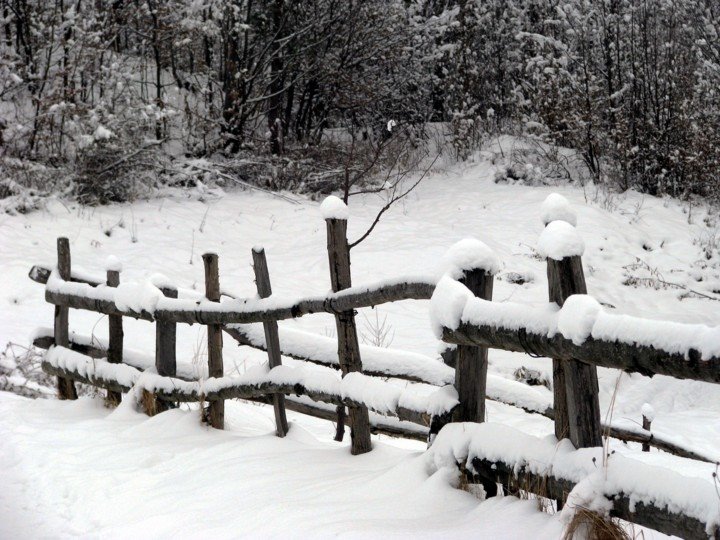 Old Fence, Kosiv, Ukraine