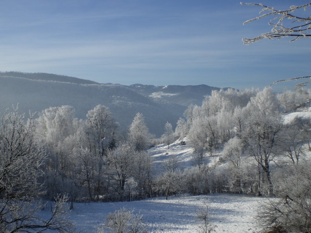Карпаты, г.Косив