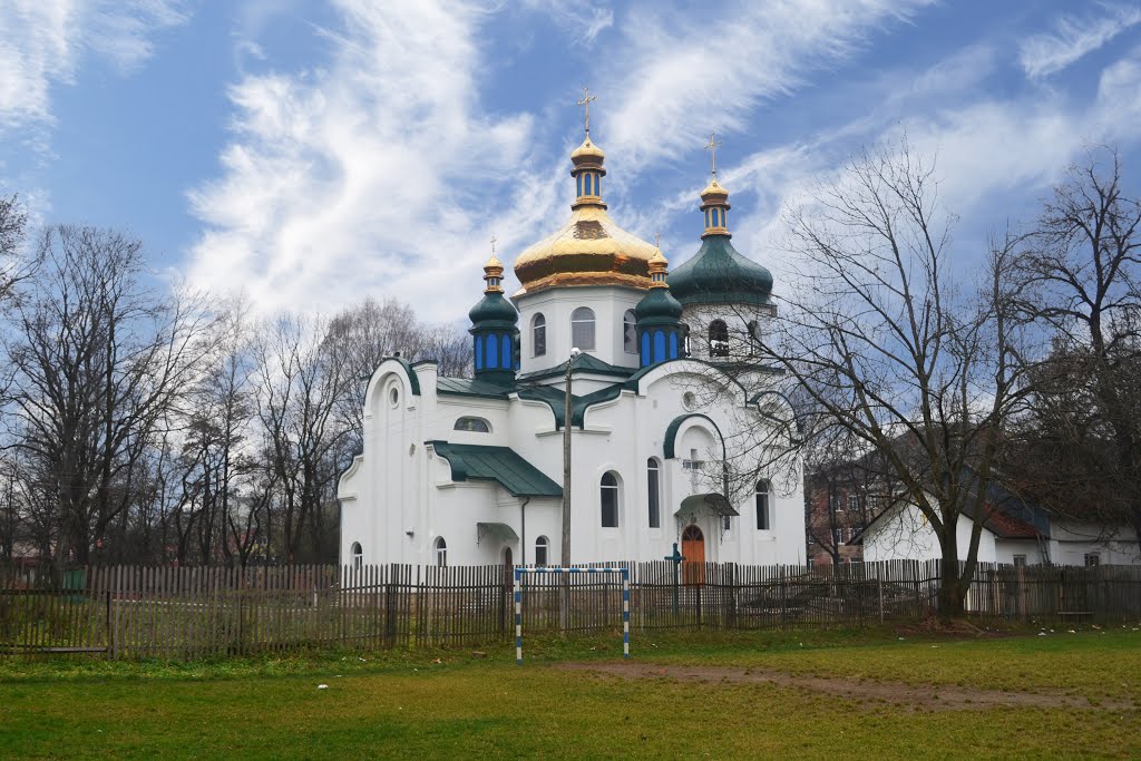 Cathedral of St. Vladimir the Great