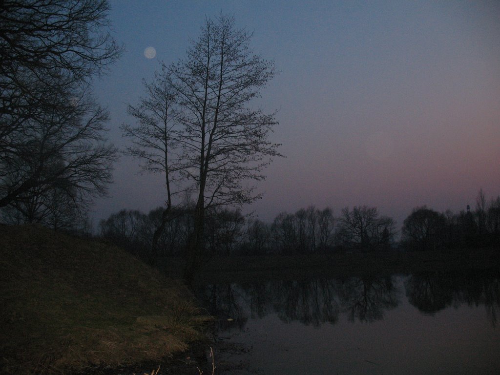 Pond in park