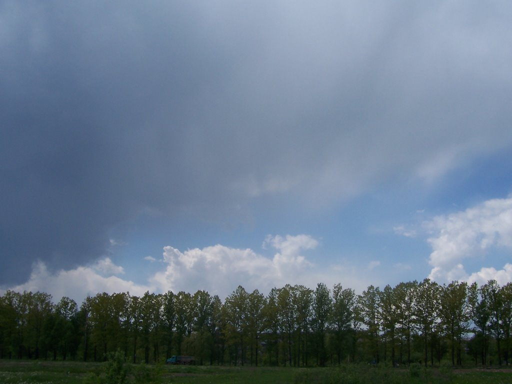 Поле