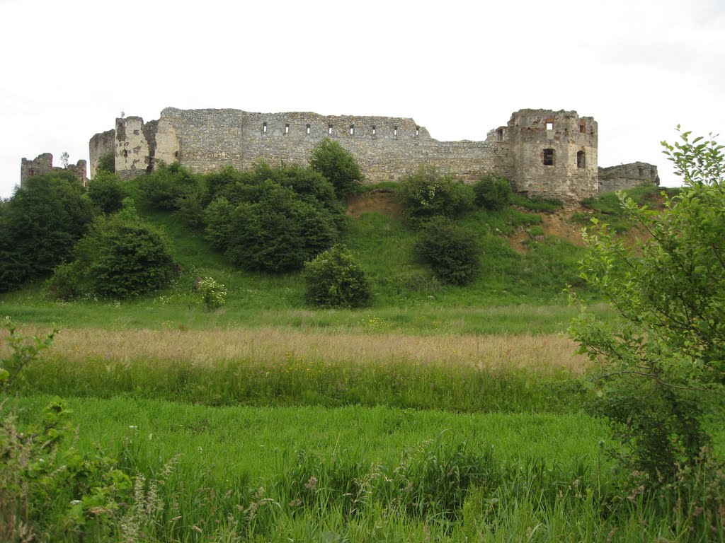 Пнів (Івано-Франківська обл.) - Пнівський замок XVI ст.