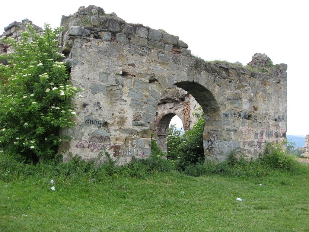 Пнів (Івано-Франківська обл.) - Пнівський замок XVI ст.