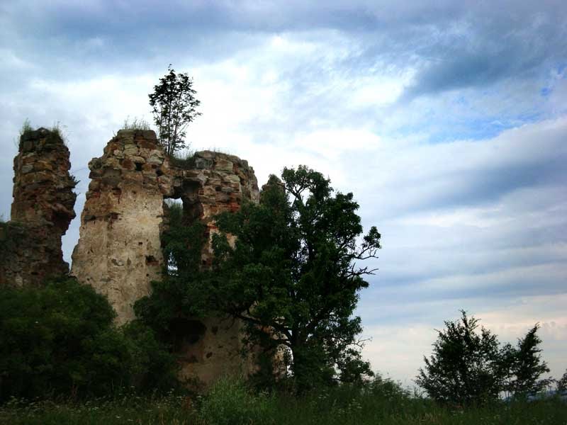 Украина. Пнивский замок.