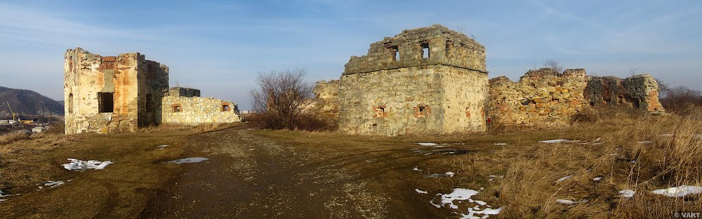 Пнівський замок
