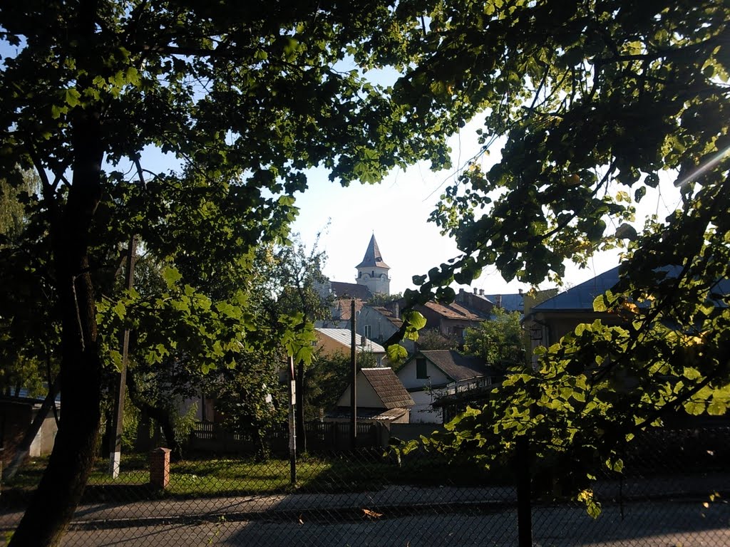 Вид на Костел