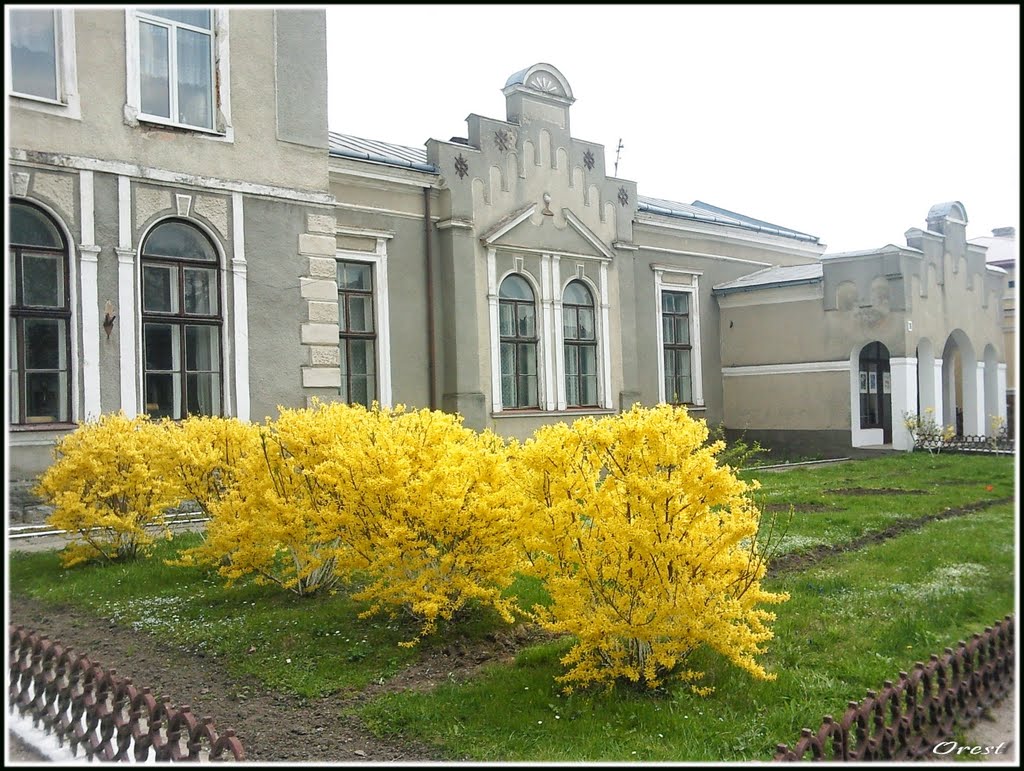 Весна 2011