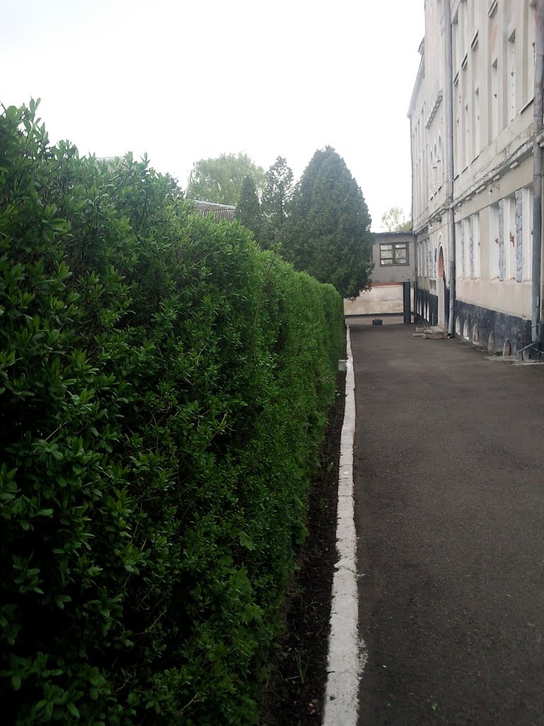 Рогатинський державний аграрний коледж