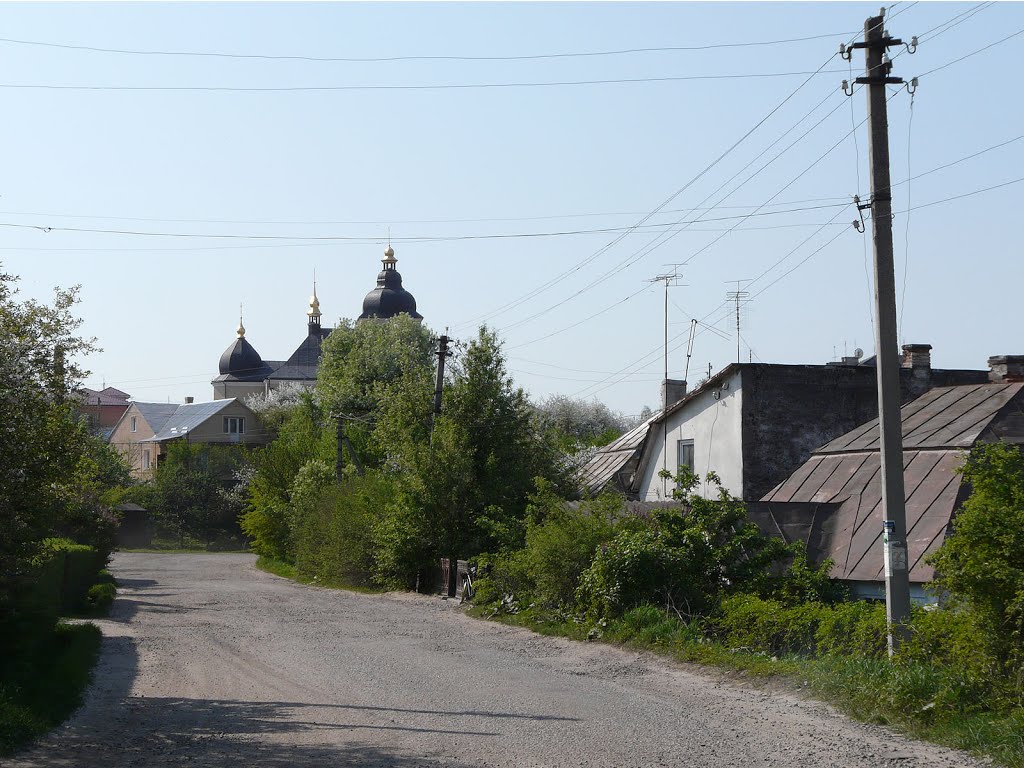 Вулиці Рогатина