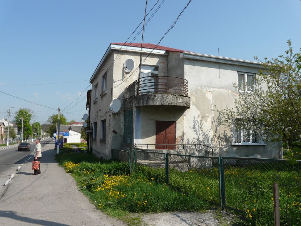 Вулиці Рогатина