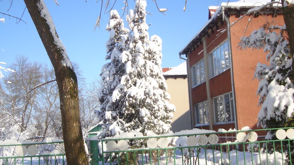 Детский сад
