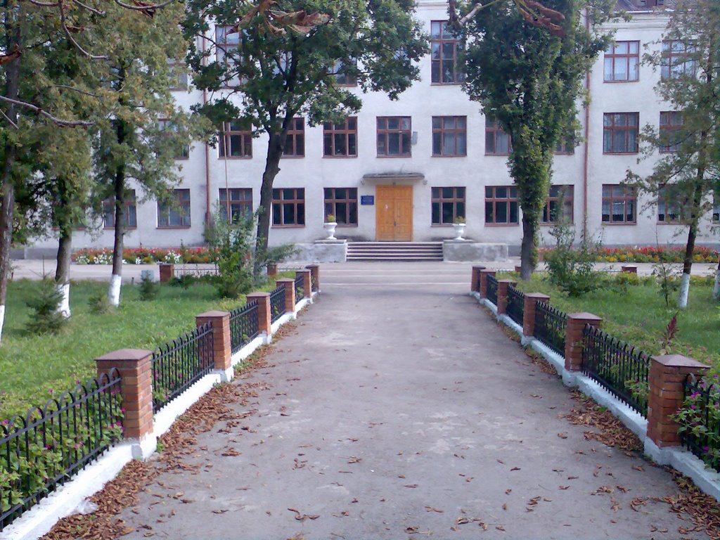 Тлумацька школа