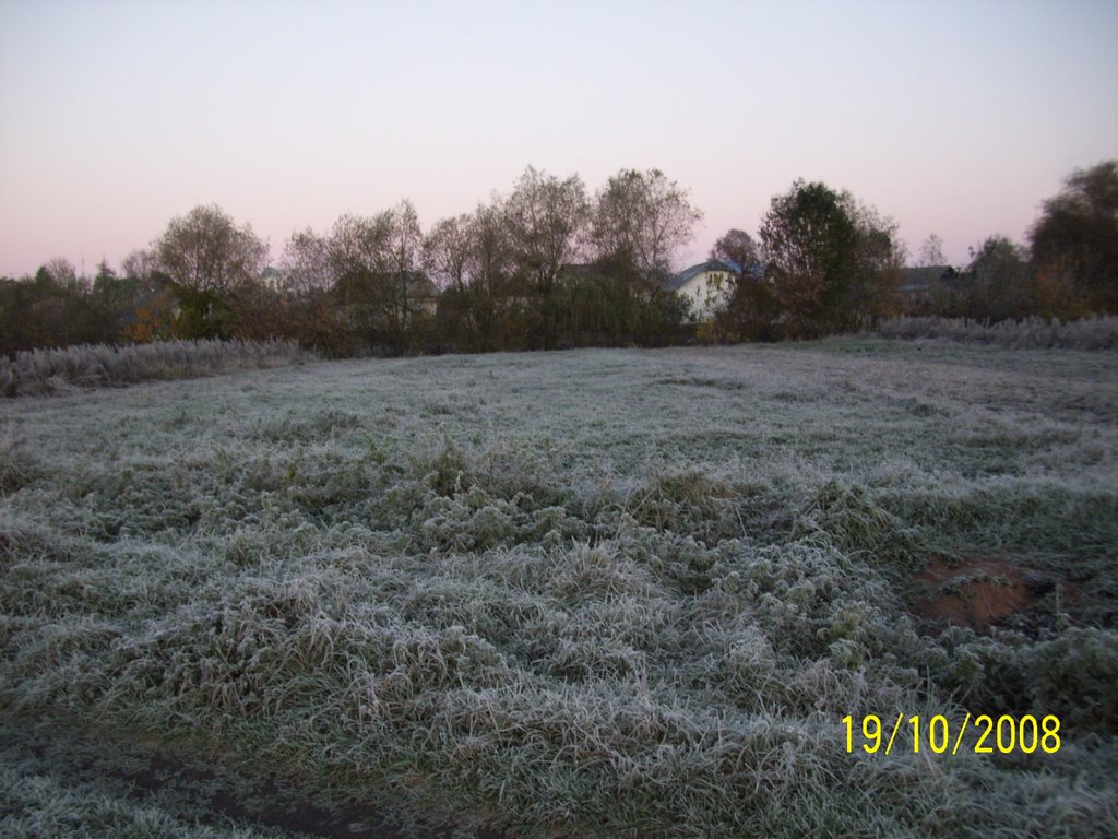Tlumach