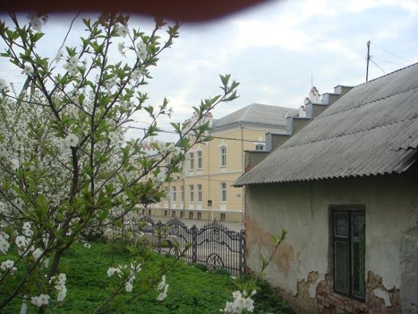 центр тлумача