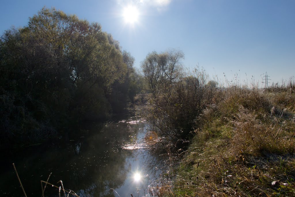р. Ворона
