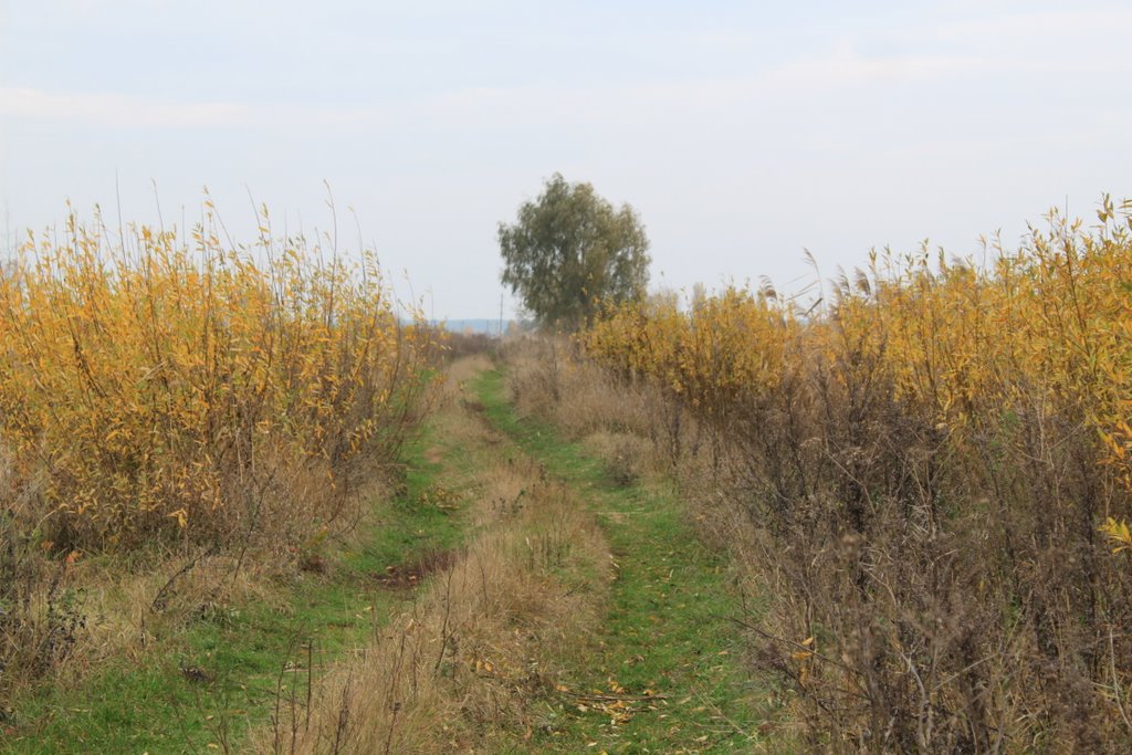 октябрь 2009