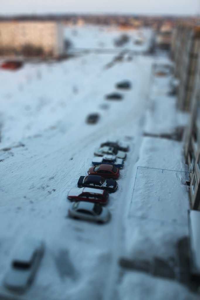 пархоменка, 2010-03-09