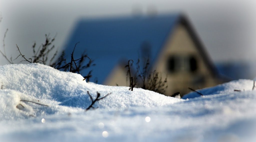winter