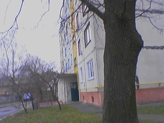 Дома на Ленина
