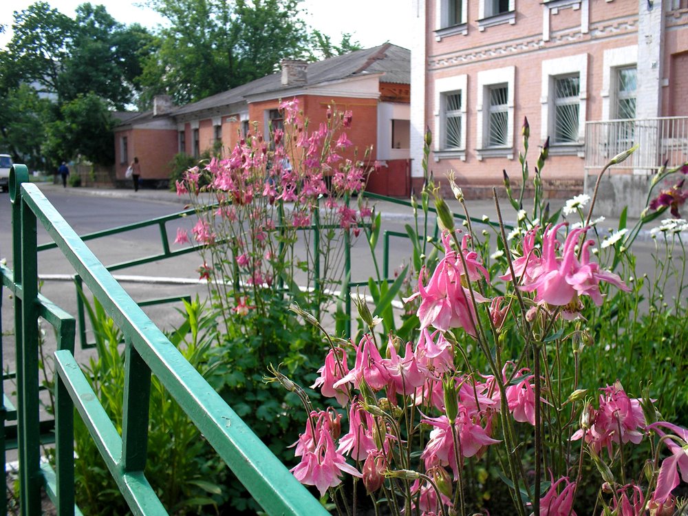 улица Шолом Алейхема