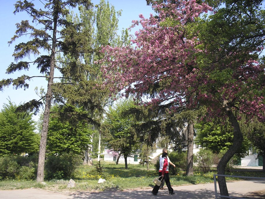 Весна 2009