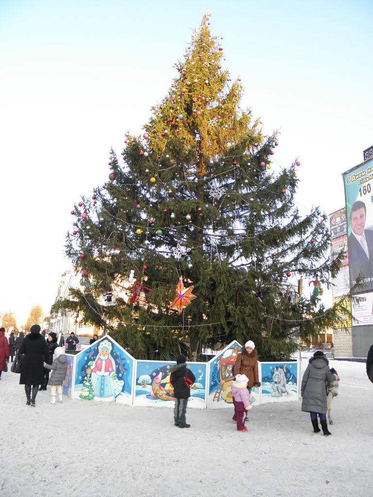 центральная елка