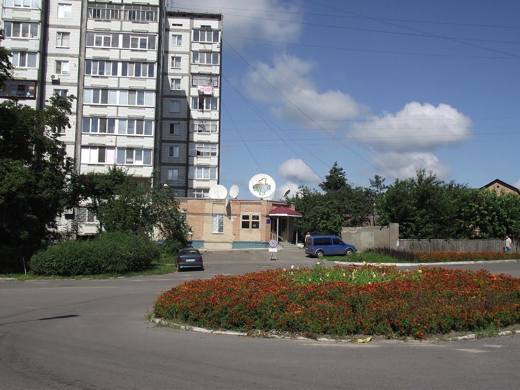 КРОКУС.