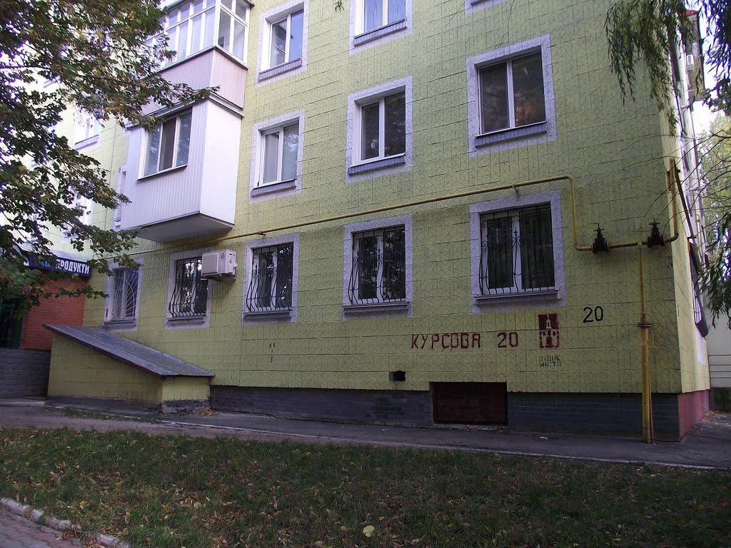 Вікна по вул. Курсова.